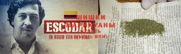 MESCALINE Новозыбков