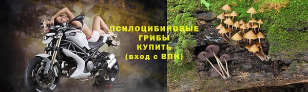 амф Новодвинск